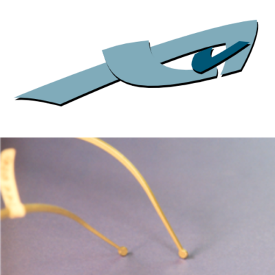 Auviente Brillenmode