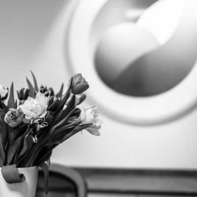 Praxis Dr. Schlothauer